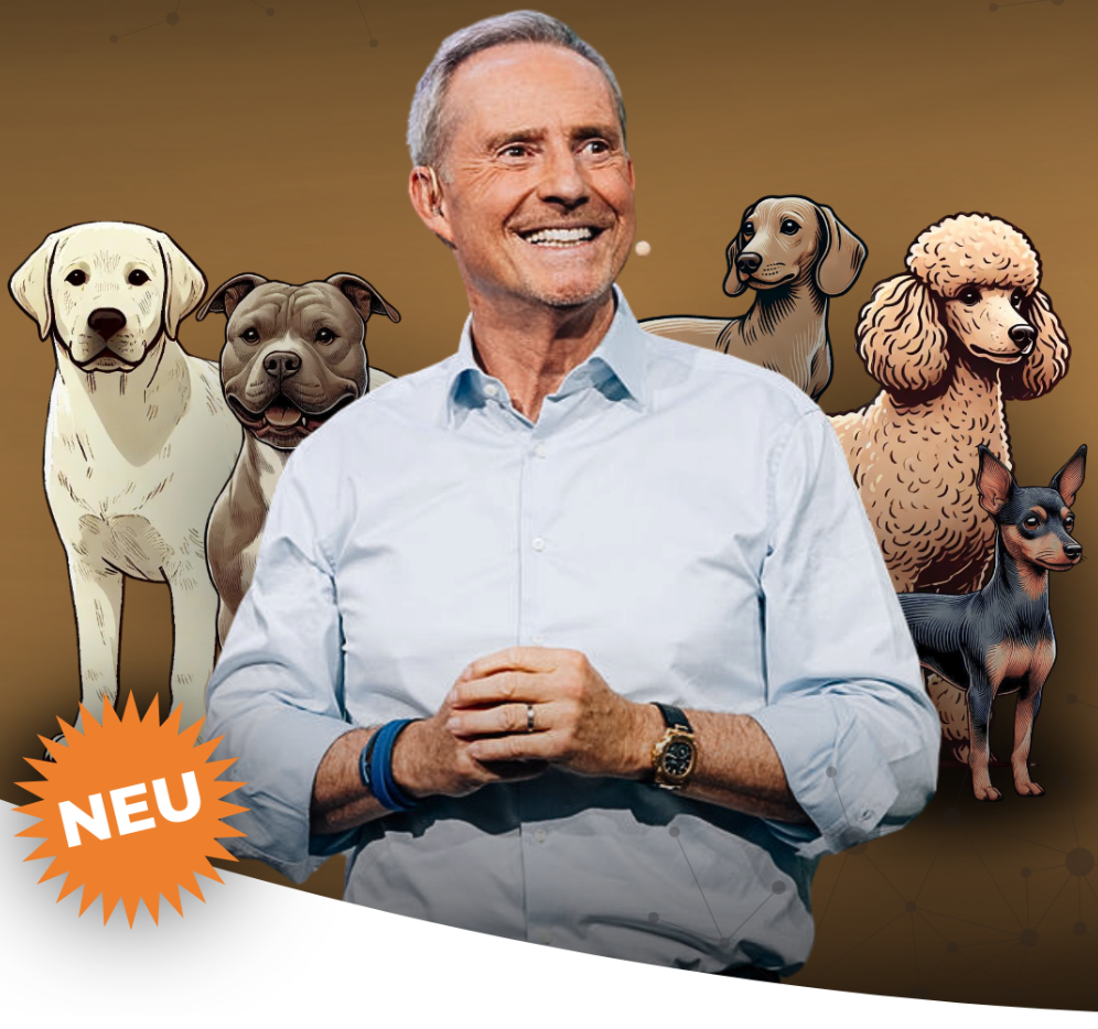 Hundestrategie Persönlichkeitstest