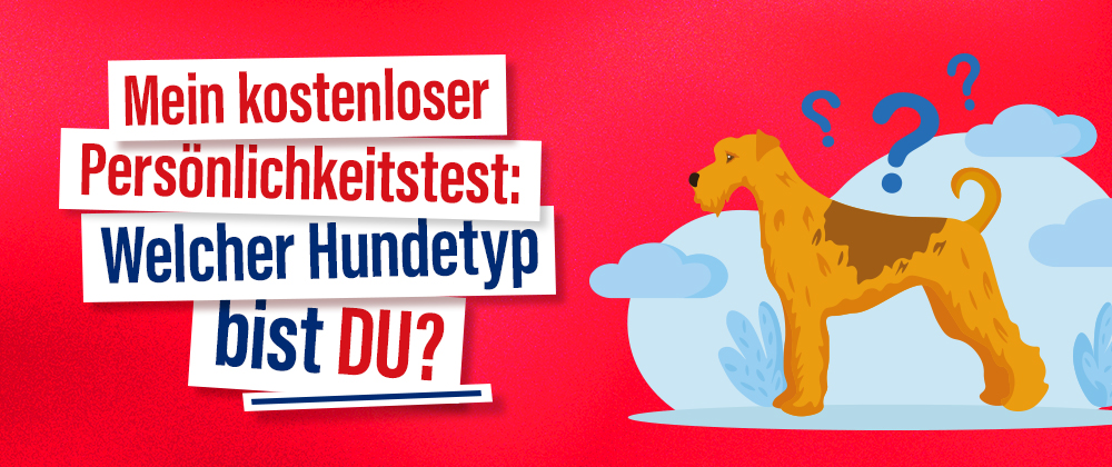 Kostenloser Persönlichkeitstest Blog Banner